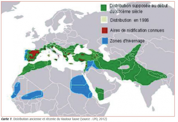 Carte : distribution ancienne et récente du Vautour fauve